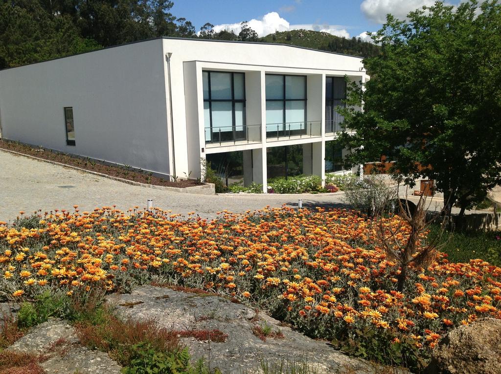 Hotel Douro Vale De Campos Penafiel Buitenkant foto